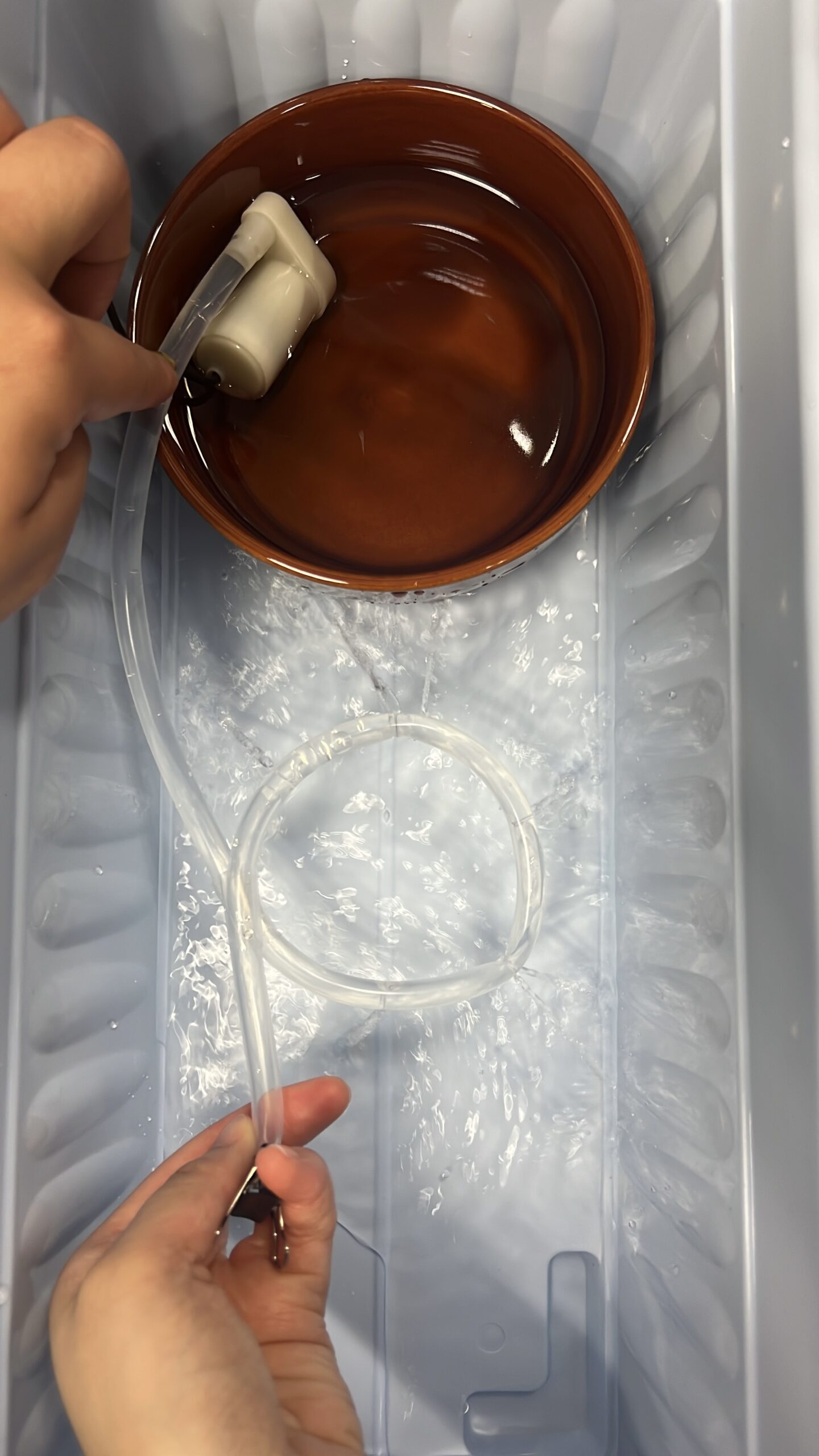 Student Project